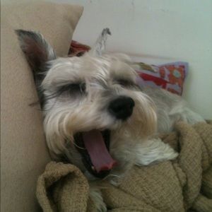 Meet your Posher, Michelle